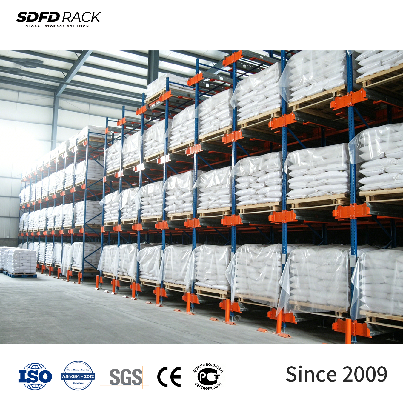 Durable Heavy Duty High Density Industrial Radio Shuttle Car Racks Movable Pallets Shelving Eco-Friendly Warehouse Storage