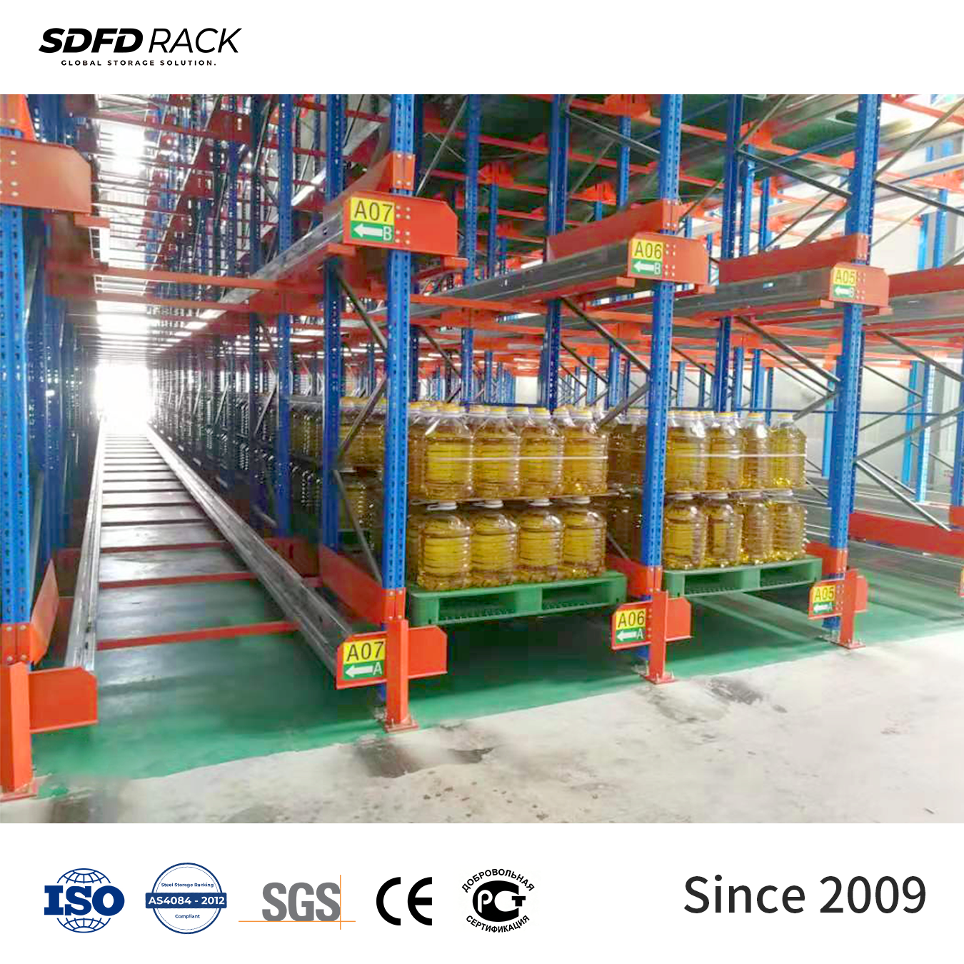 Automatic Warehouse Radio Shuttle Racking System Multi-Level Custom High Density Industrial Racks Cold Room Food Pallet Rack