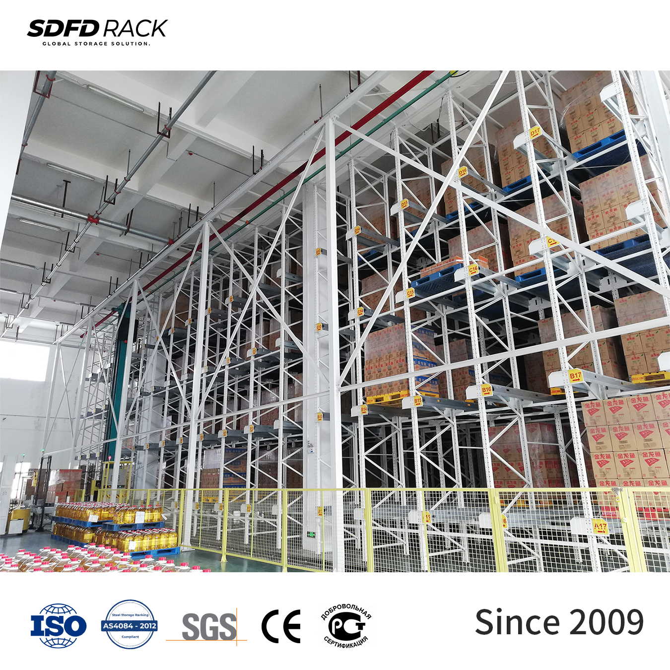 Custom Intelligent Pallet Racking Shuttle Car Automatic Storage & Retrieval Shuttle Rack for High Density Cold Warehouse Storage