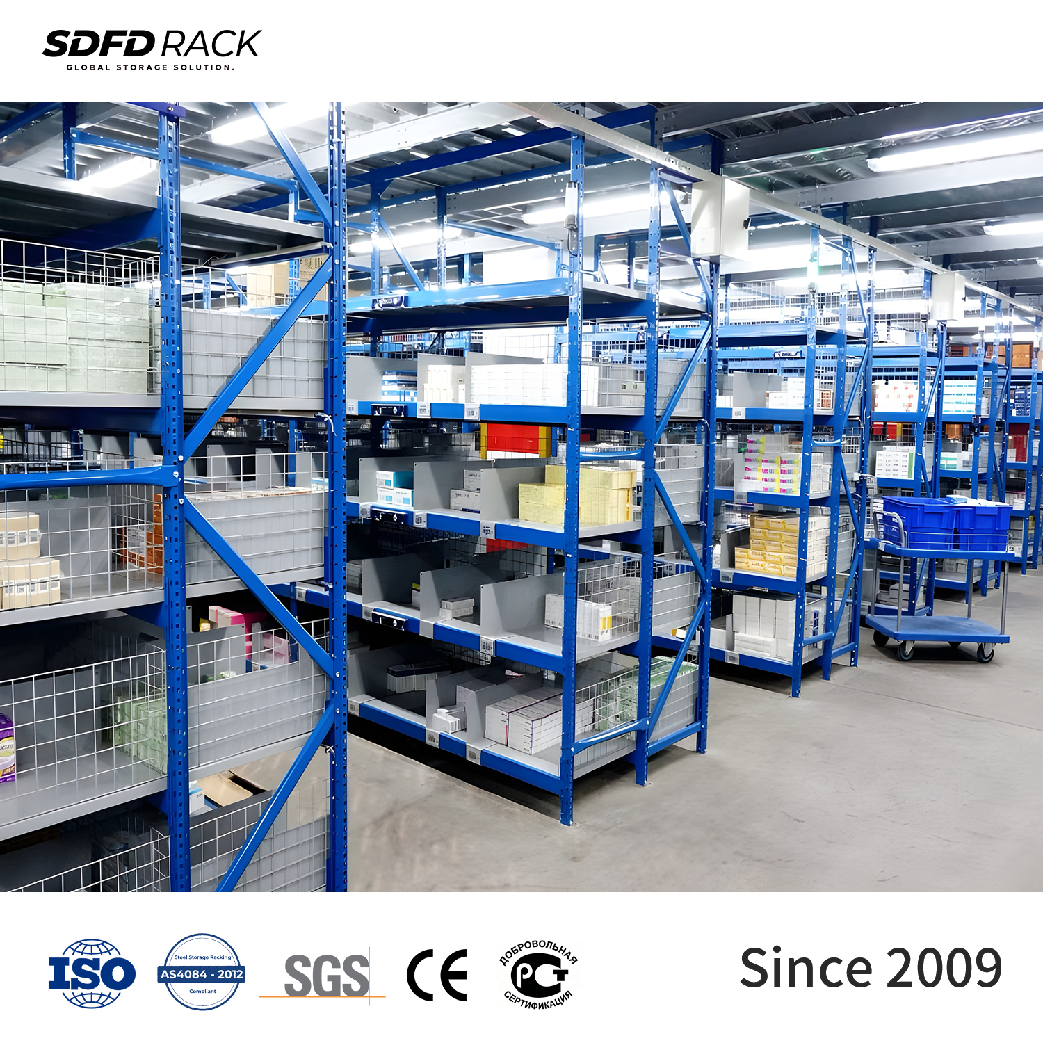 Factory Direct Steel Rack Supported Mezzanine Floors 100kg-1000kg Load Capacity for Warehouse Storage Any Sizes Any Colors