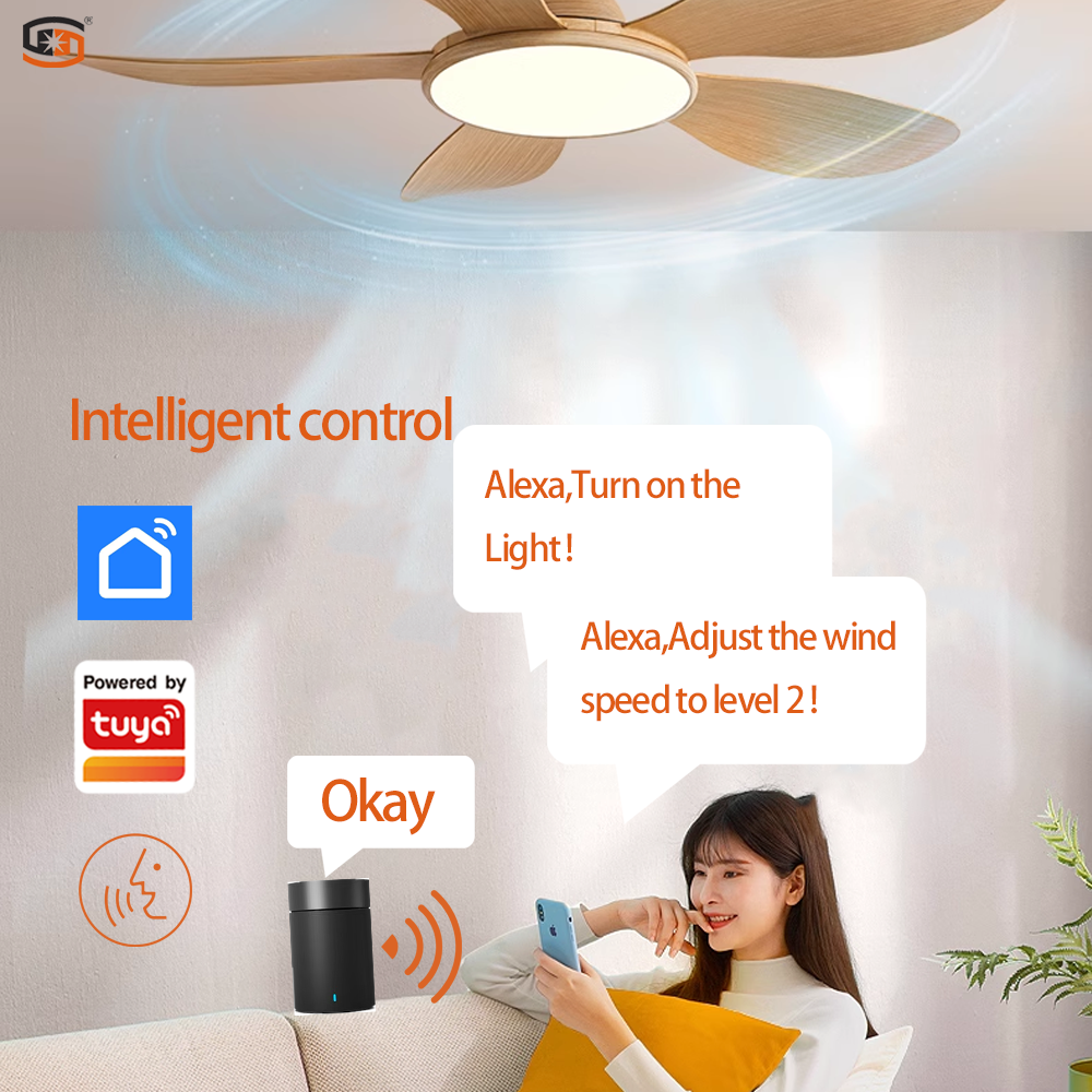 Modern Household Ceiling Fan Chandelier 5 Blades DC Motor Integrated ABS Blades LED Light Source Noiseless for Living Room