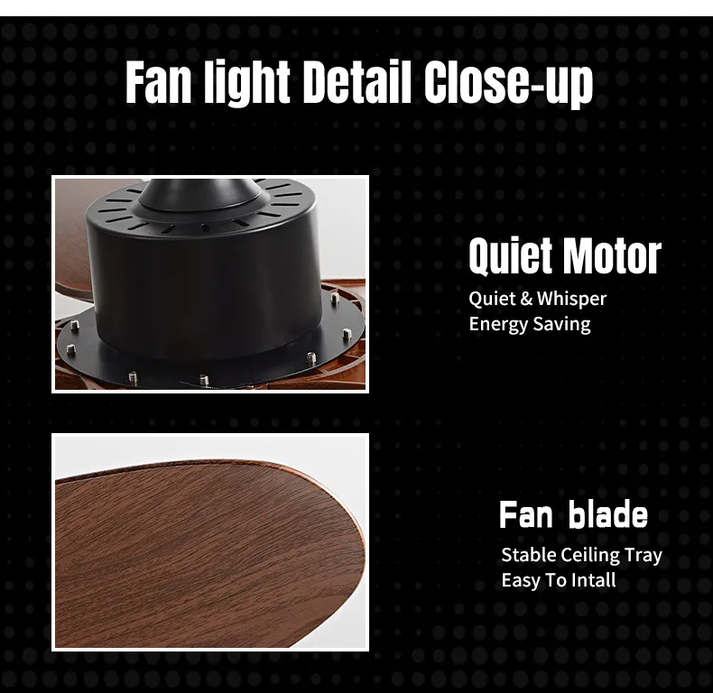 Modern Design Ceiling Fan