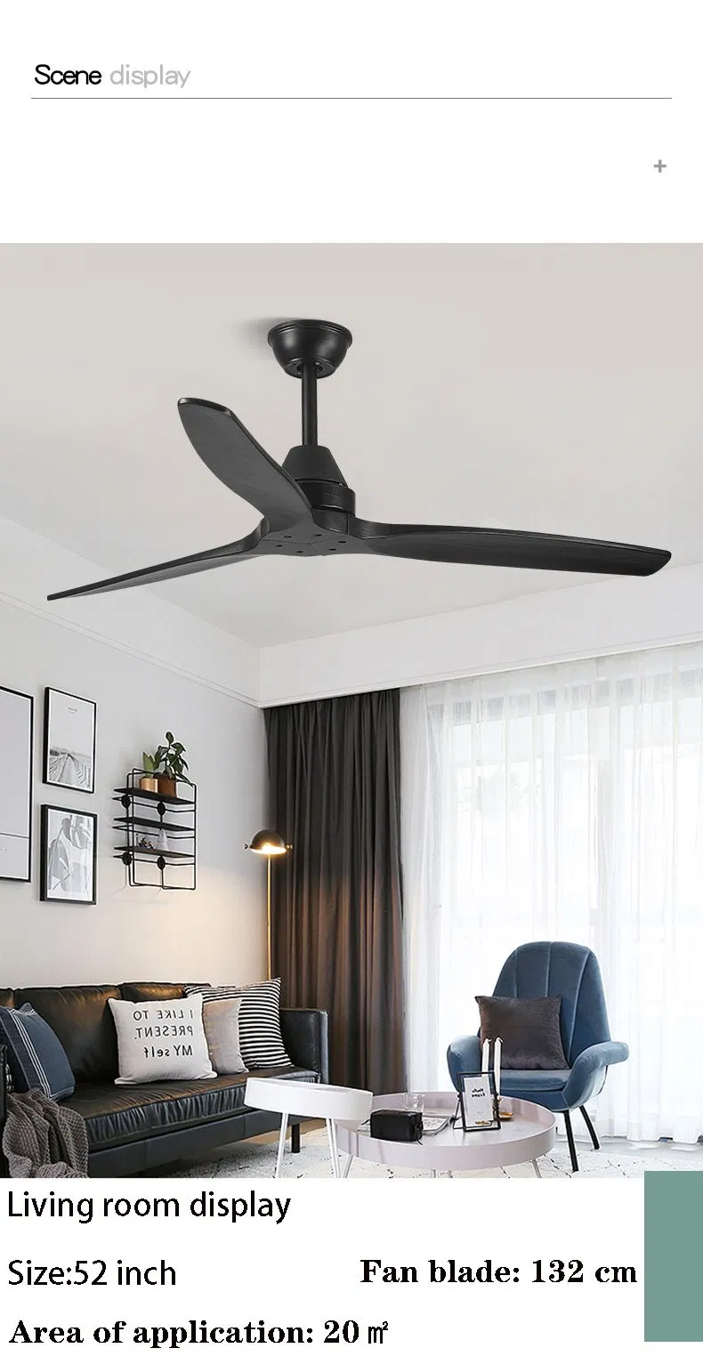 Ceiling Fan Detail 5