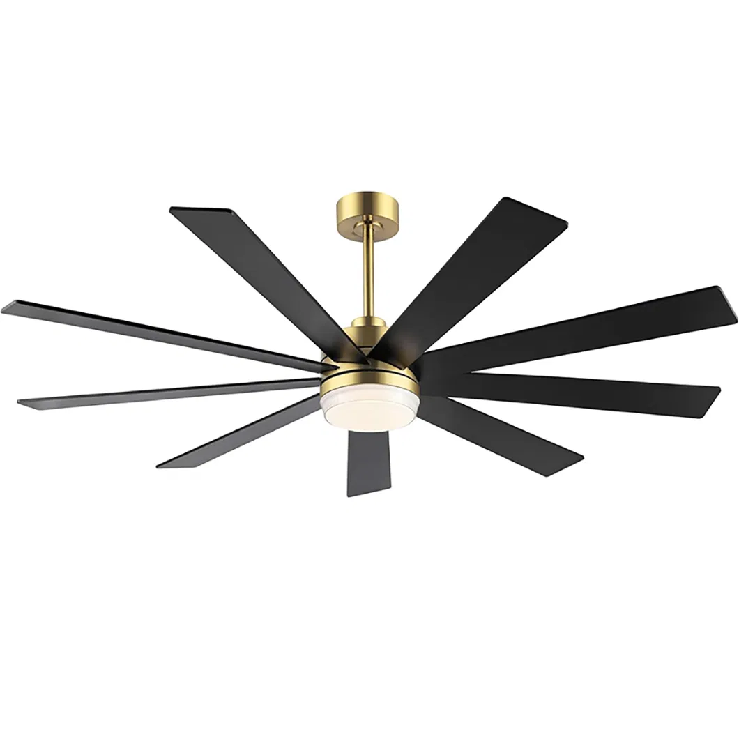 9blades ABS Modern Styles Outdoor Design Ceiling Fan Lamp