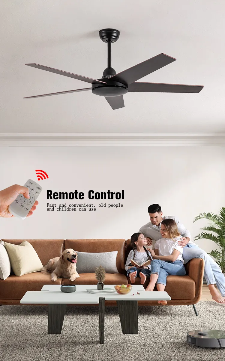 Modern Ceiling Fan Structural Display