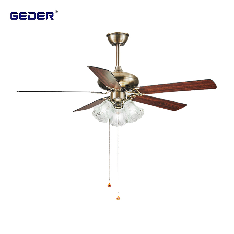 New Arrival Remote Control Fancy Decorative Ceiling Fan with Light