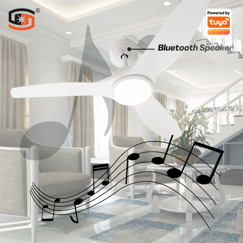 Product View 8