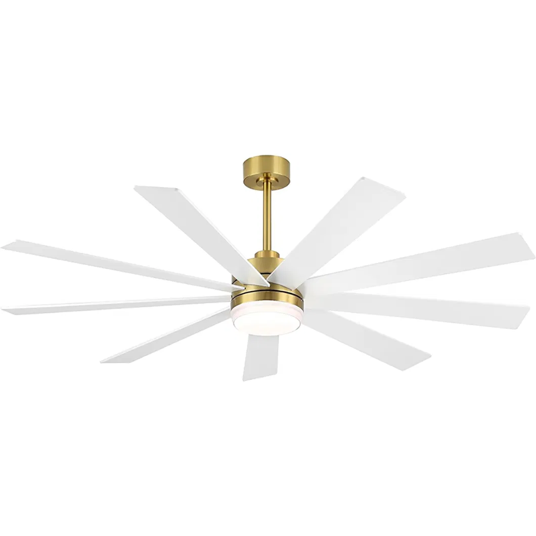 9blades ABS Modern Styles Outdoor Design Ceiling Fan Lamp