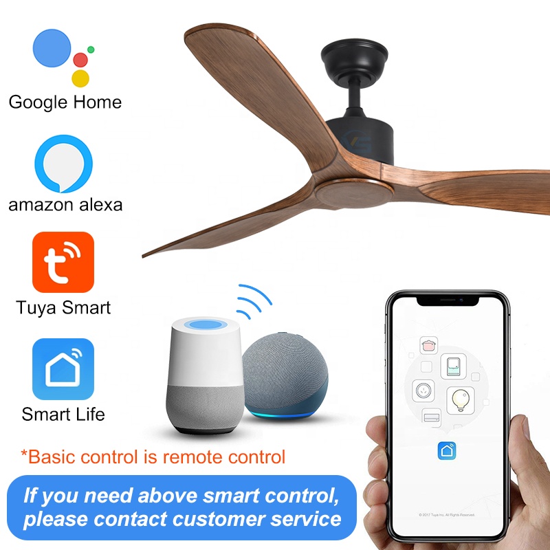 C067 52 Inch DC Motor Ceiling Fan Without Light