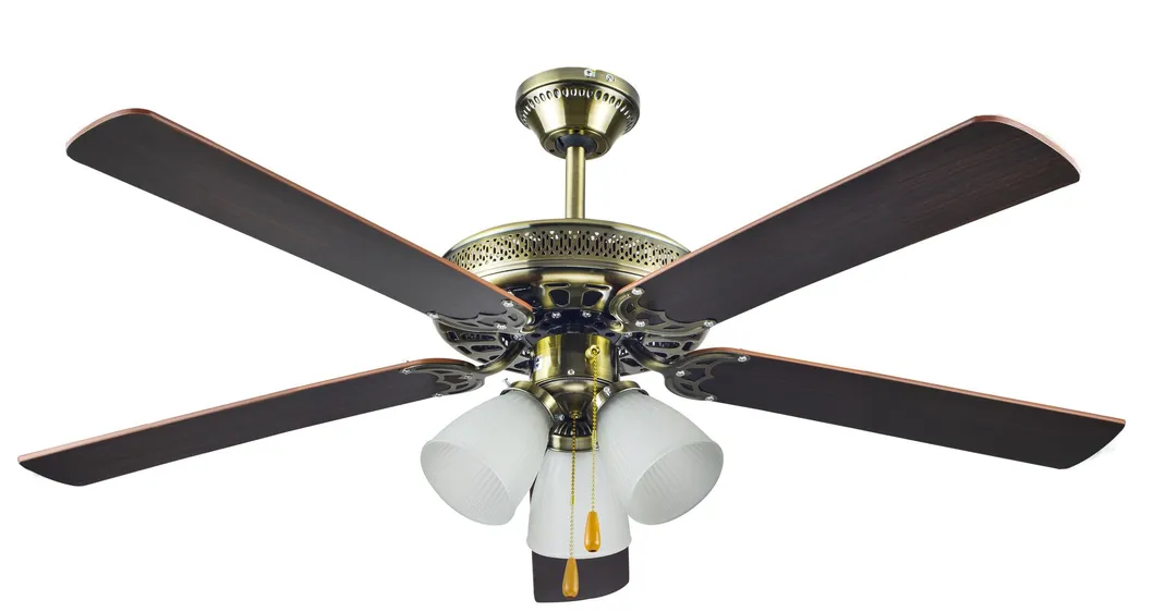 Ceiling Fan Fancy 42 Inches Reversible Blades Smart Remote
