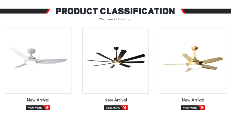 Classification