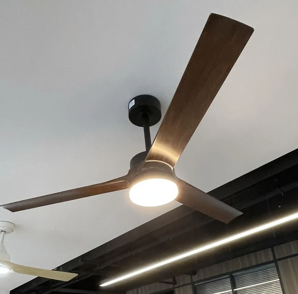 Ceiling Fan Light Design Detail