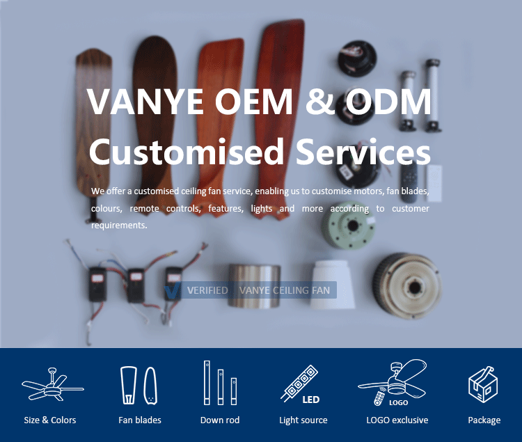 Custom Service Options 1
