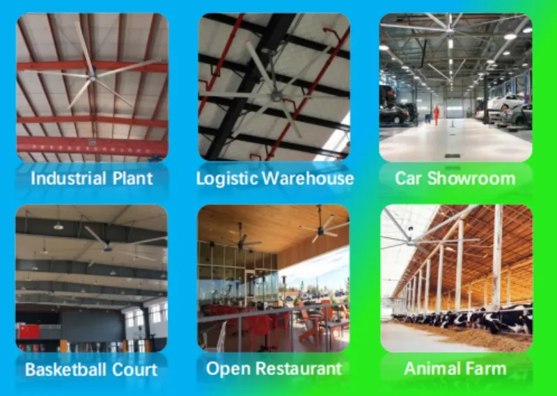 HVLS Industrial Fan Application