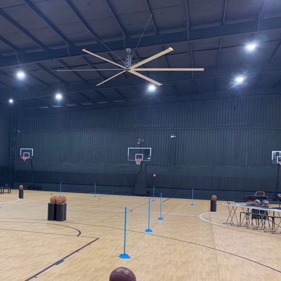 Super Quiet High Wind Speed Industrial Ceiling Fan for Chemical Plant