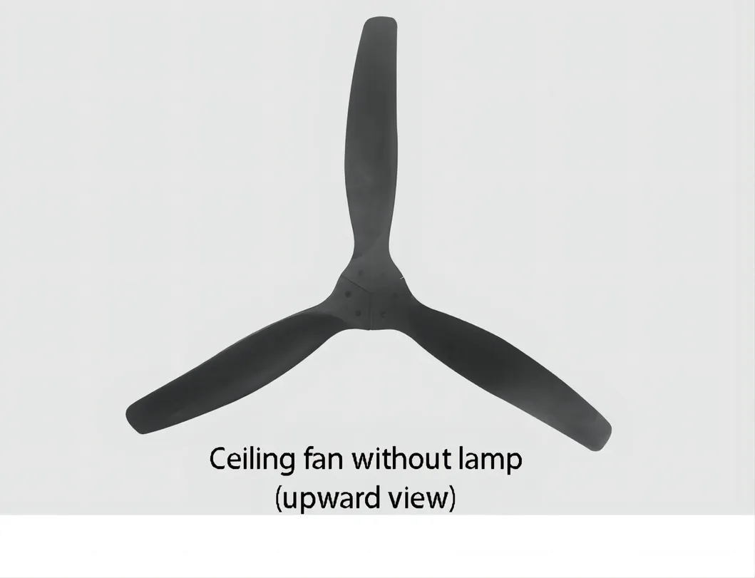 Ceiling Fan Detail 10
