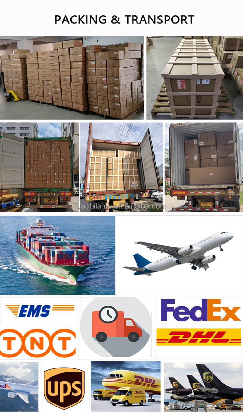 Packaging and Delivery Showcase
