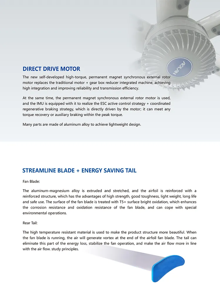 Luxury Outdoor Ceiling Fan with Controller