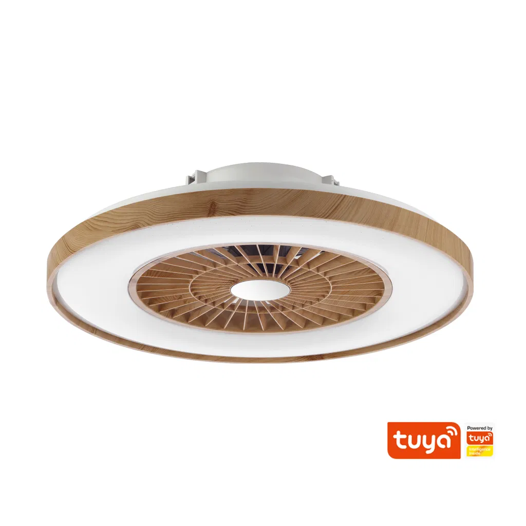 New Appliances Tuya Smart Reversible Motor Exhaust Hanging Ceiling Fan with LED Night Light