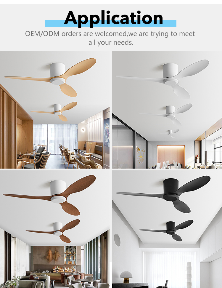 Ceiling Fan Feature 4