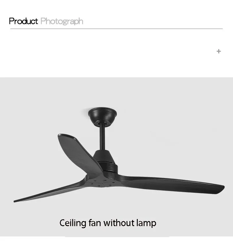 Ceiling Fan Detail 13