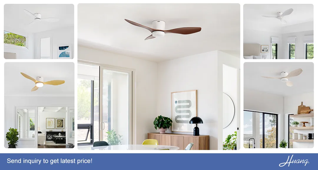 Ceiling Fan Transparent Blade DC Motor Flush Mount ABS Ceiling Fan 2in1 Lighting