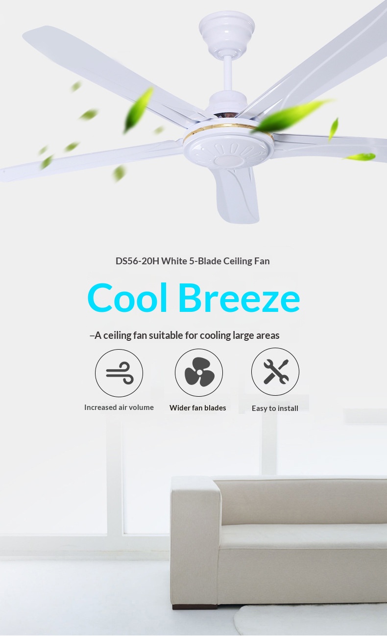 Ceiling Fan Detail View