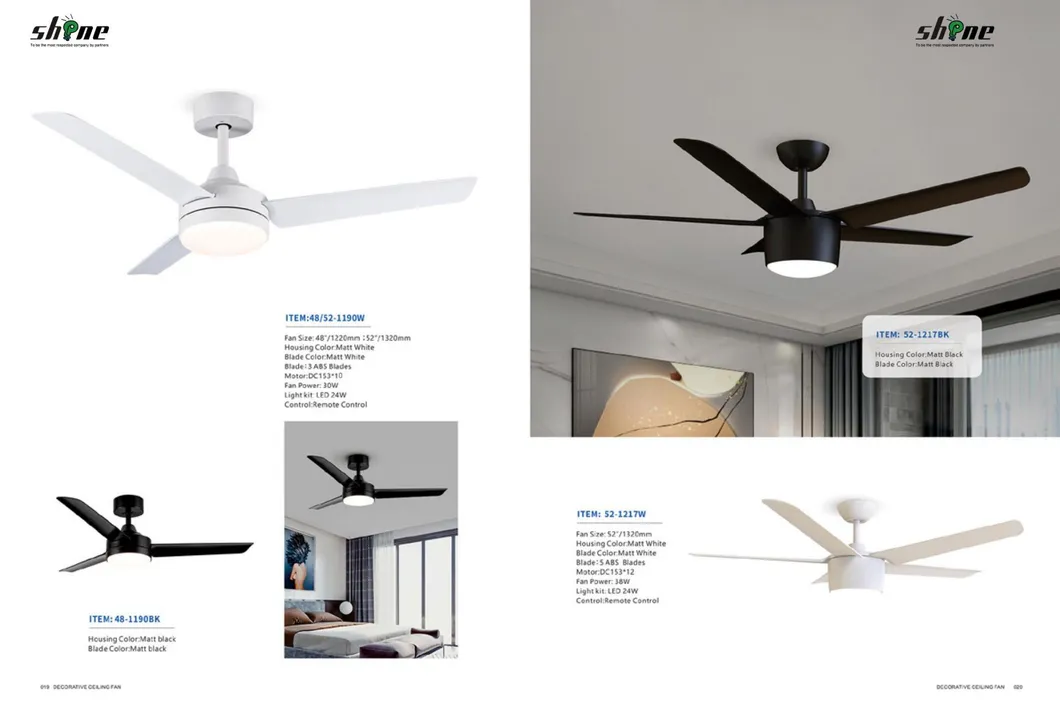 Detailed Fan Photo 13