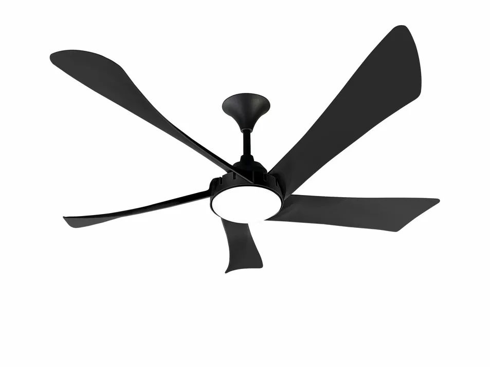 Ultra Quiet Aerodynamic DC Ceiling Fan with Lights - Delivery
