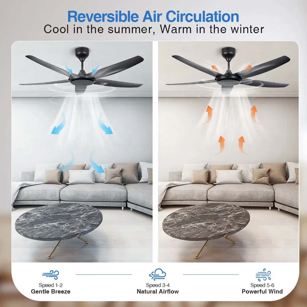 Low Noise DC Ceiling Fan with Light 6 Speed Adjustable Fan Light