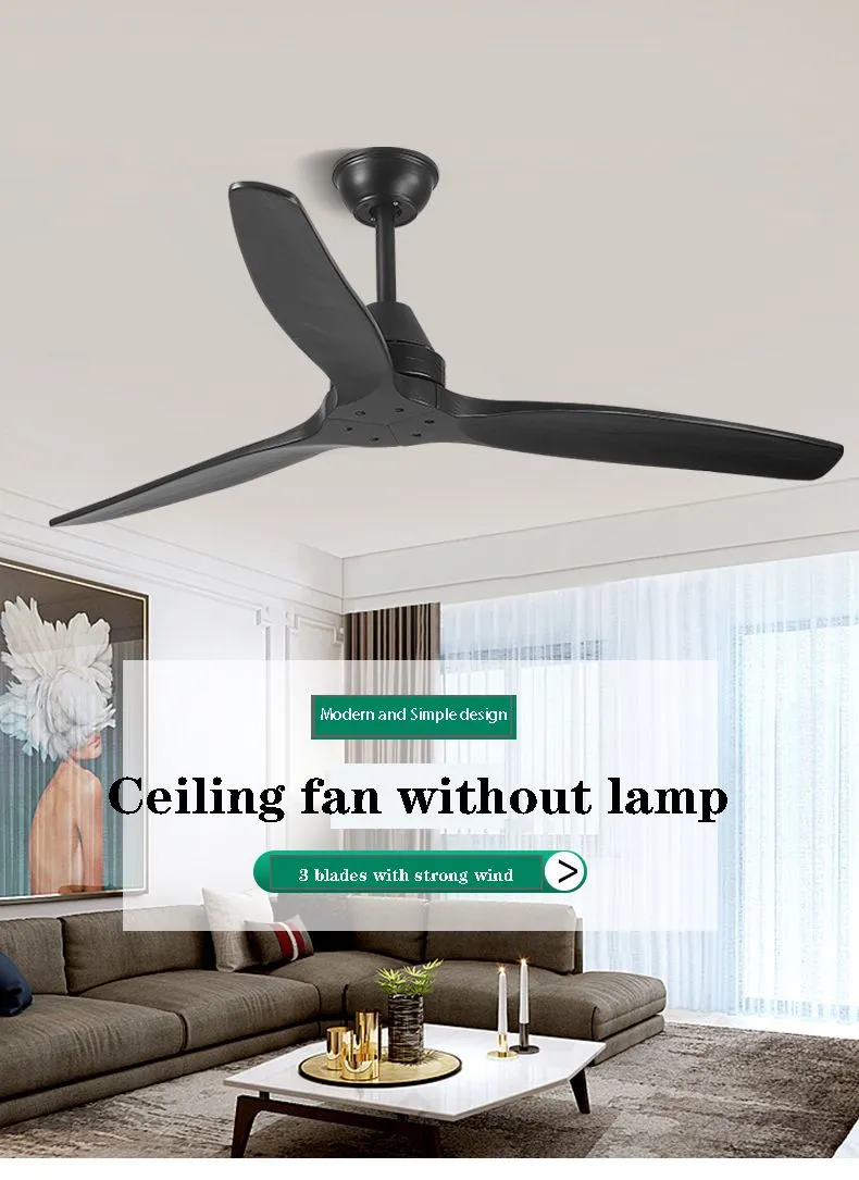 Ceiling Fan Detail 1