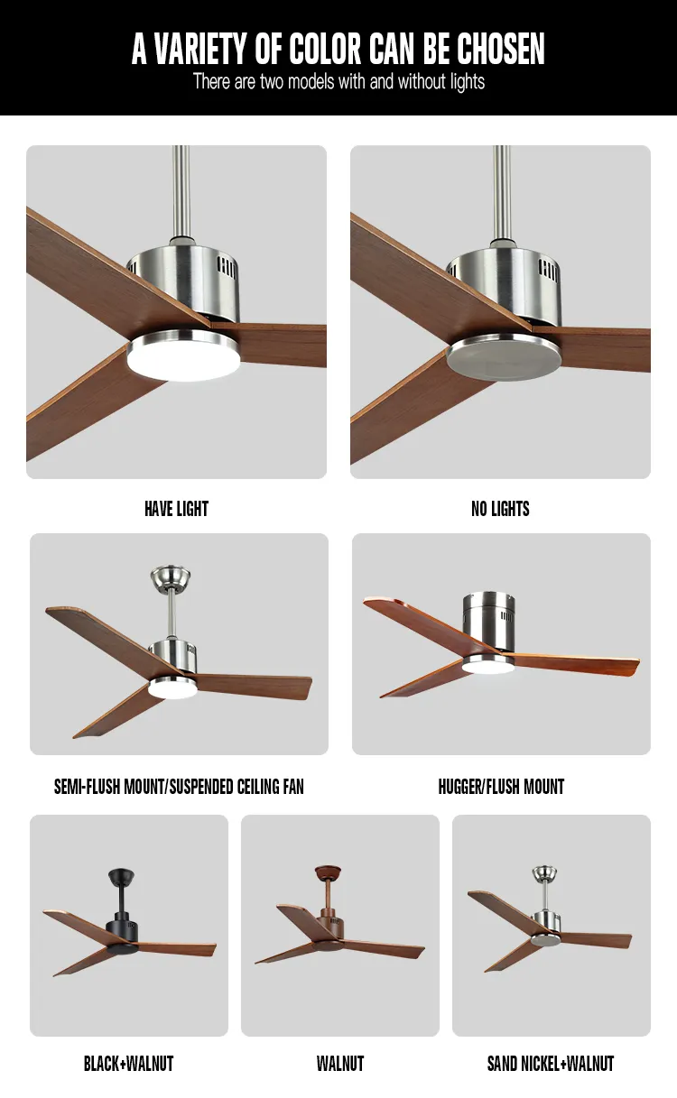 Luxury Ceiling Fan 7