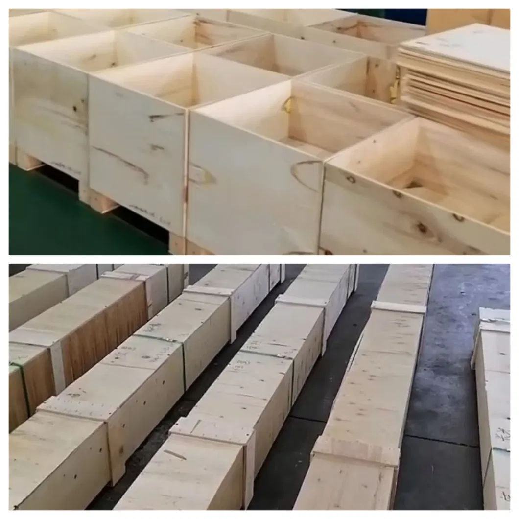 Packaging Case 1