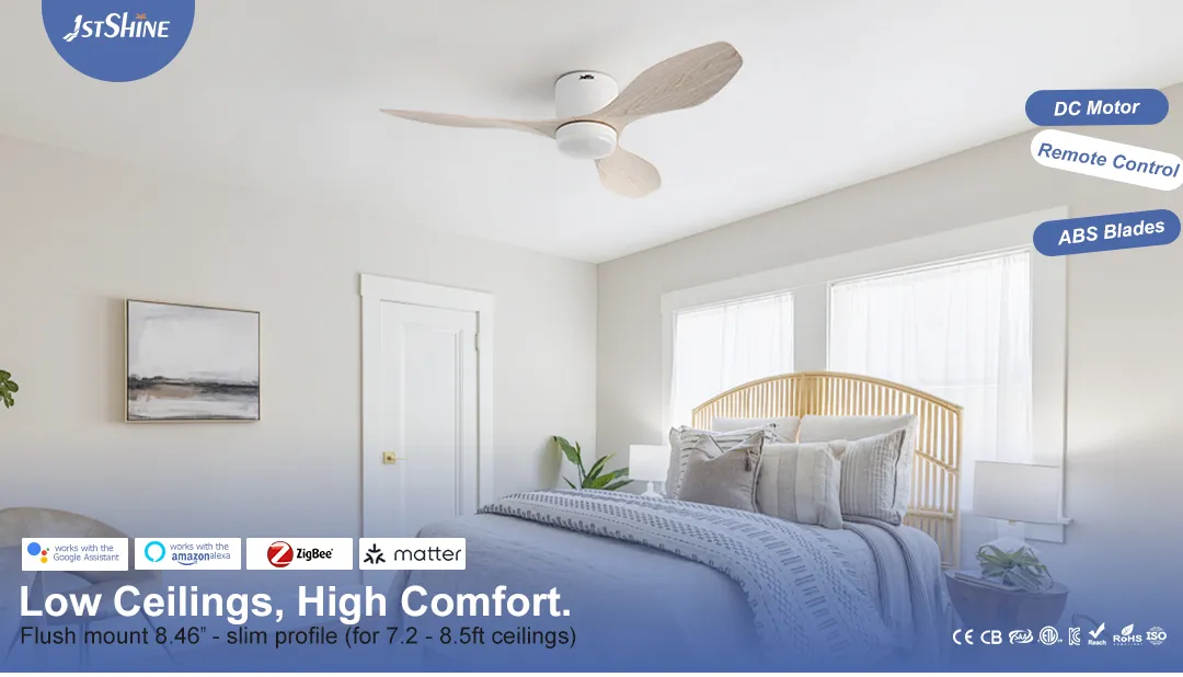 Ceiling Fan Transparent Blade DC Motor Flush Mount ABS Ceiling Fan 2in1 Lighting