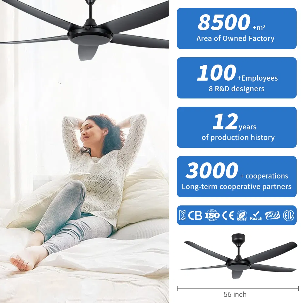 Low Noise DC Ceiling Fan with Light 6 Speed Adjustable Fan Light