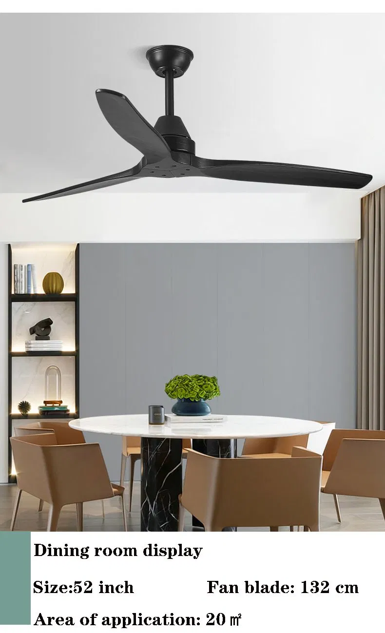 Ceiling Fan Detail 8