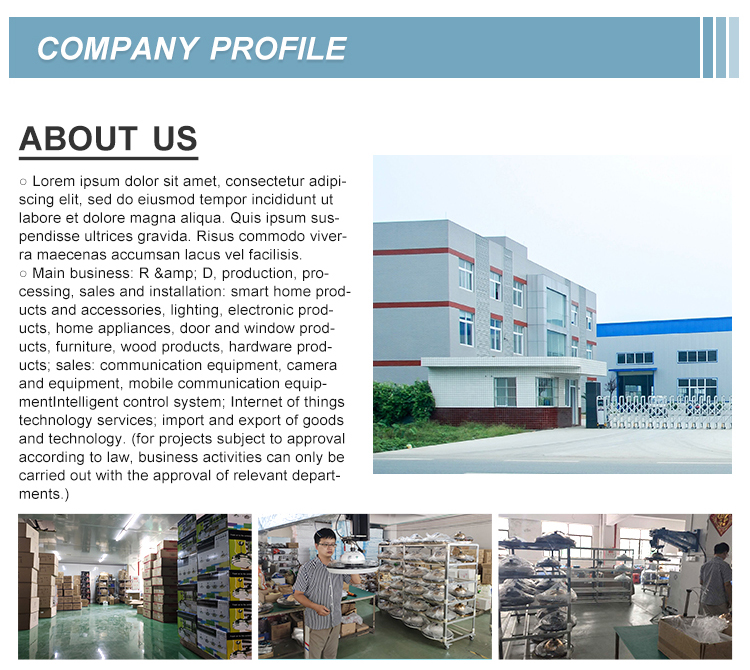 Company Profile 1