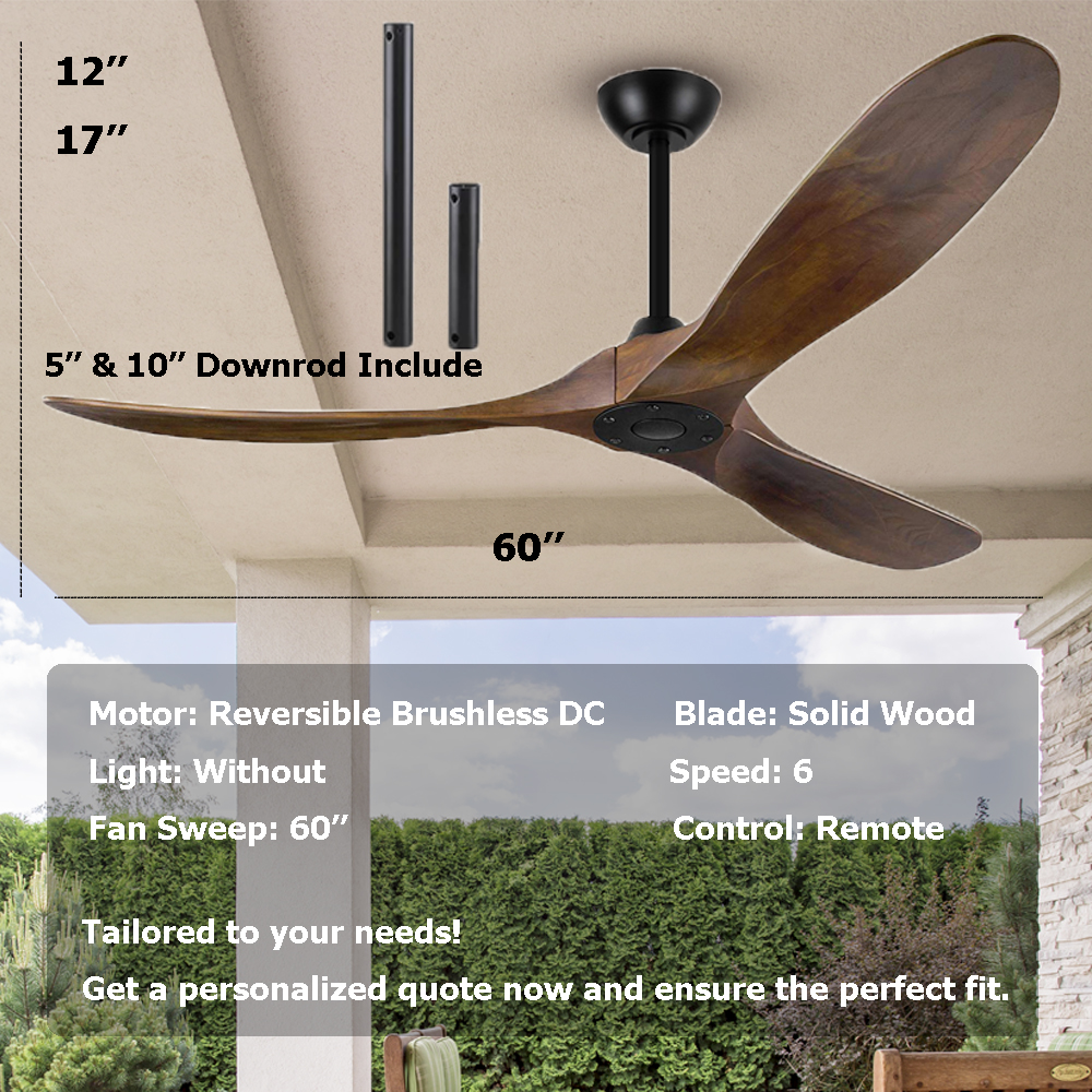 Ceiling Fan Detail 4