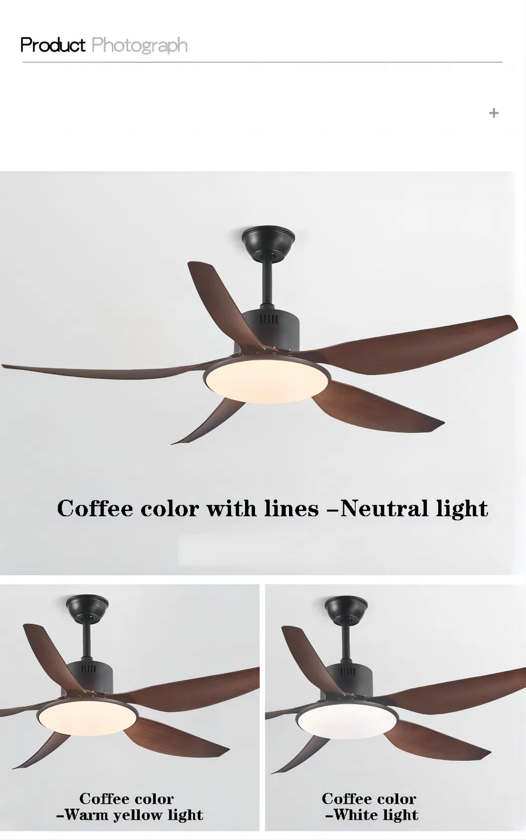 Ceiling Fan Light 8
