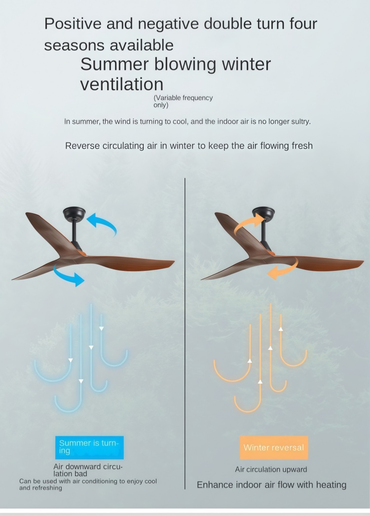Ceiling fan motor and components