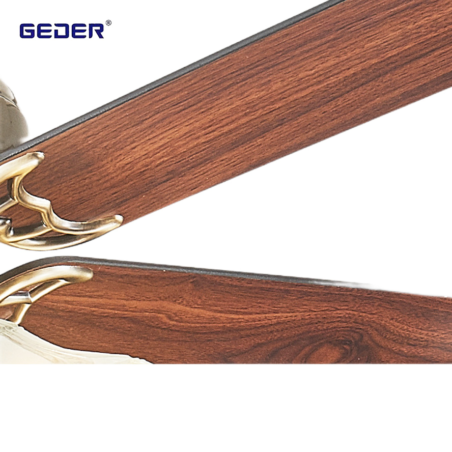 New Arrival Remote Control Fancy Decorative Ceiling Fan with Light