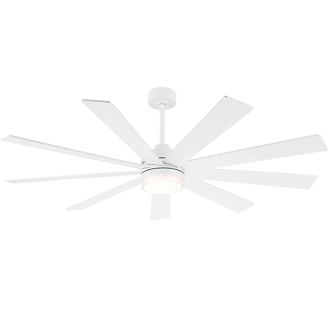 9blades ABS Modern Styles Outdoor Design Ceiling Fan Lamp