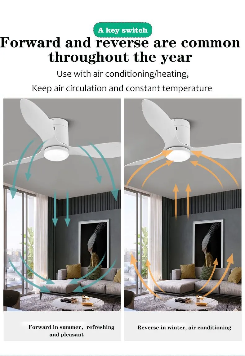 LED Ceiling Fan Detailed View 3