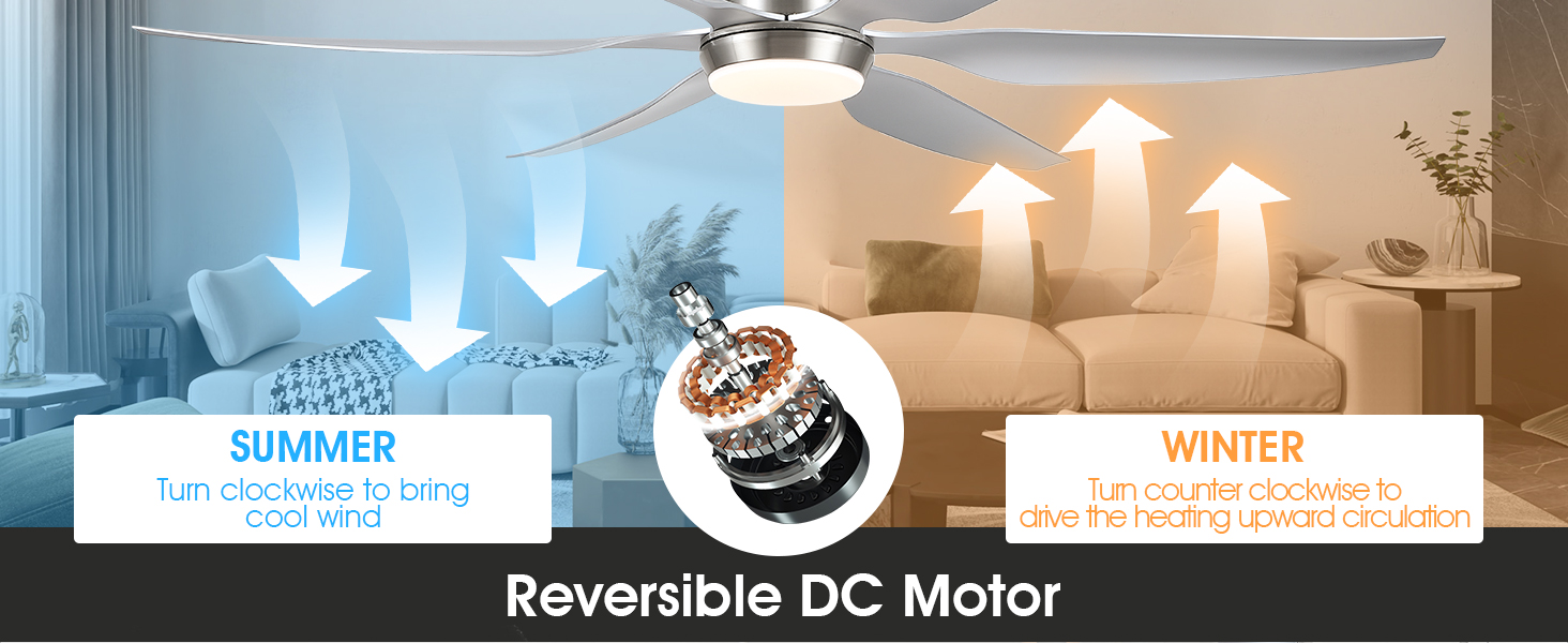 Ceiling Fan Detail 4