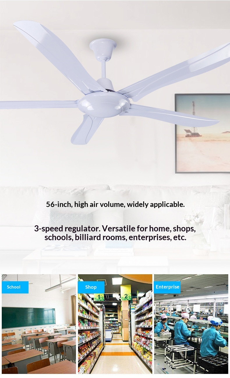Ceiling Fan Mounting Details