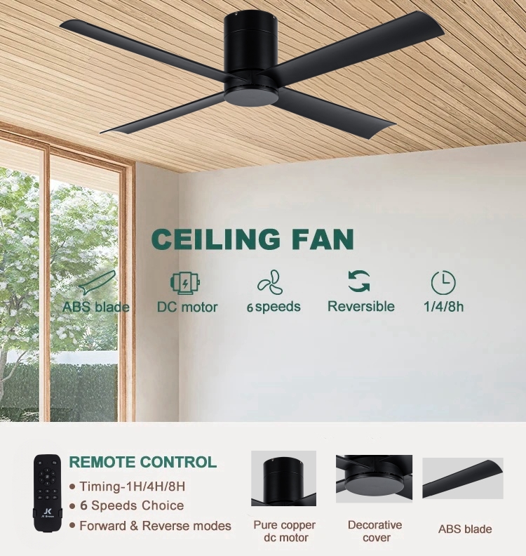 Ceiling Fan Detail 5