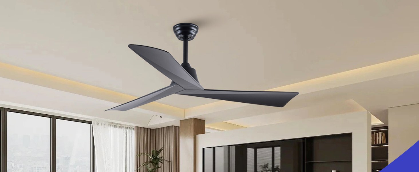 Product Detail Image 8