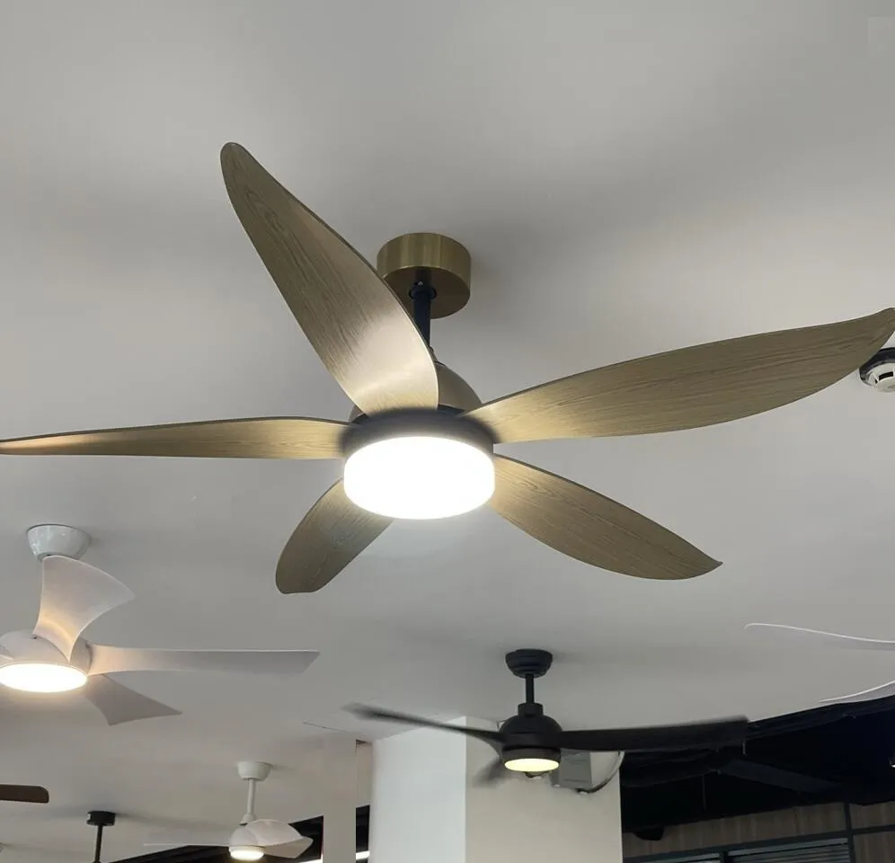 Ceiling Fan Light Design Detail