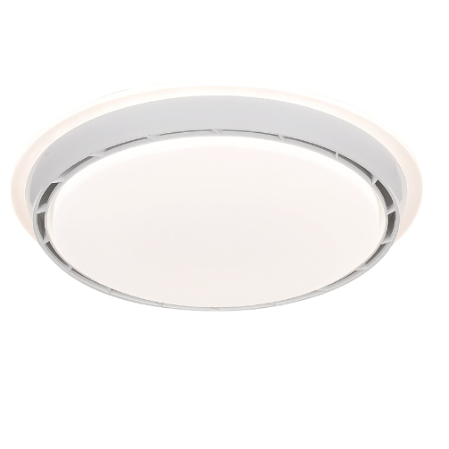 20 Inch Fan Light Flush Mount Remote Control DC Smart Modern Bladeless Ceiling Fan with LED Light