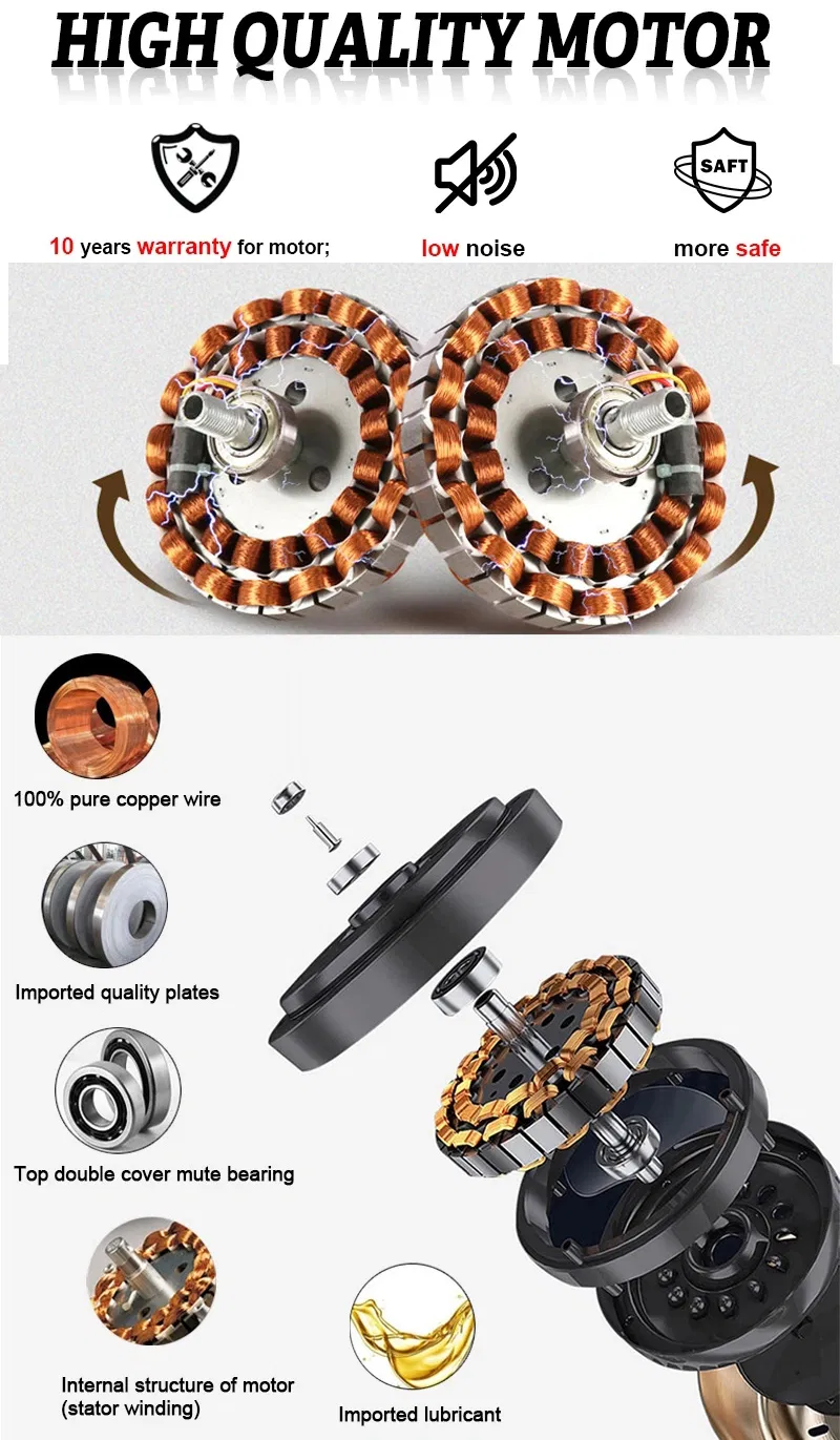 100% Pure Copper Motor Details